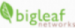 BigLeaf Networks
